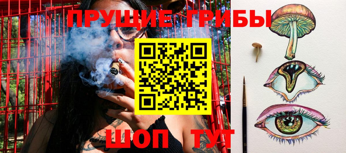 Псилоцибиновые грибы Cubensis  Псилоцибиновые грибы Cubensis  Кувандык  Вход с VPN 