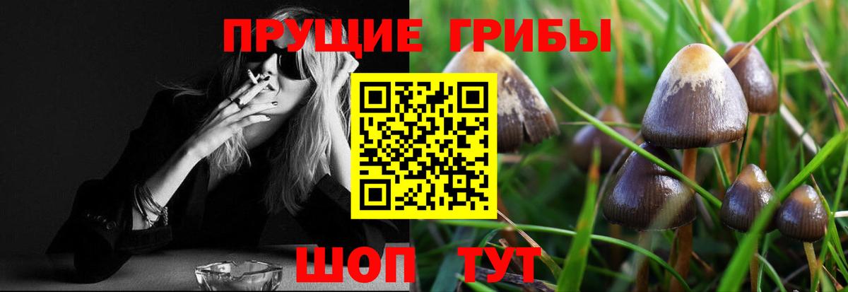 Галлюциногенные грибы мухоморы Кувандык